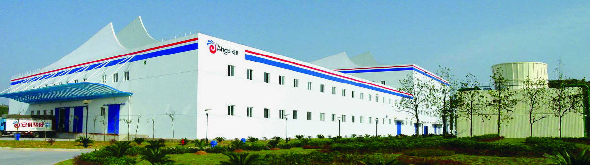 584828141973579008.jpg 红桃视频