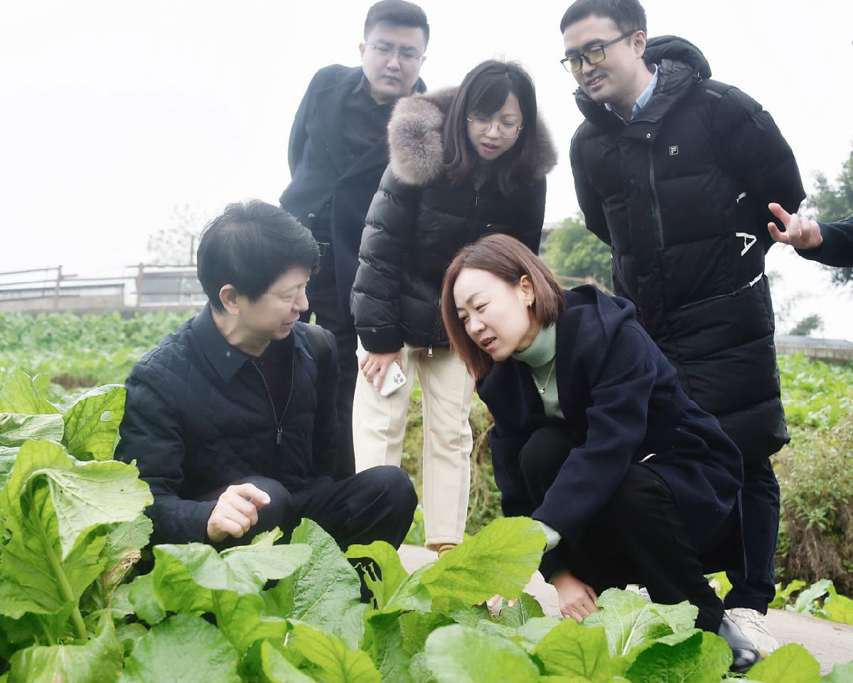 图片1.png 红桃视频