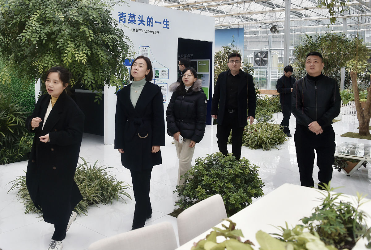 微信图片_20211217103831.jpg 红桃视频