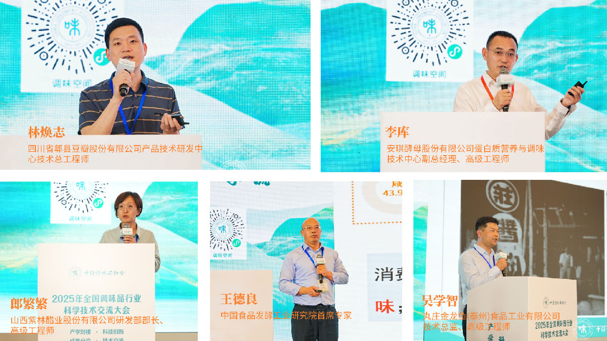 拼图2.png 红桃视频